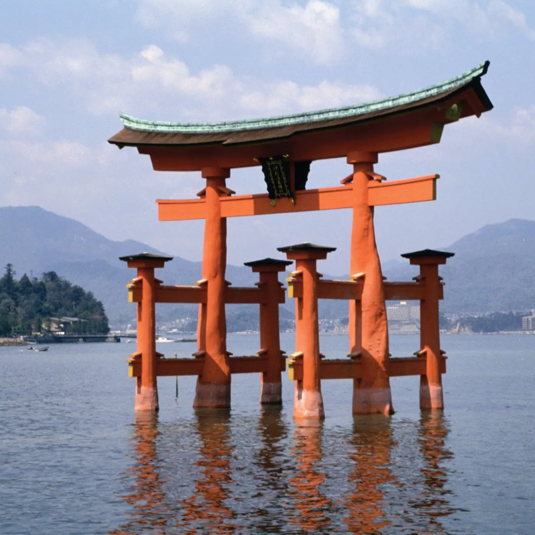 Photo of Torii Gates in Japan